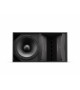 BOSE ArenaMatch AM20 loudspeaker 80x20